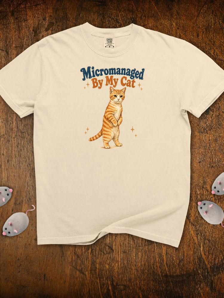None of My Business Collection