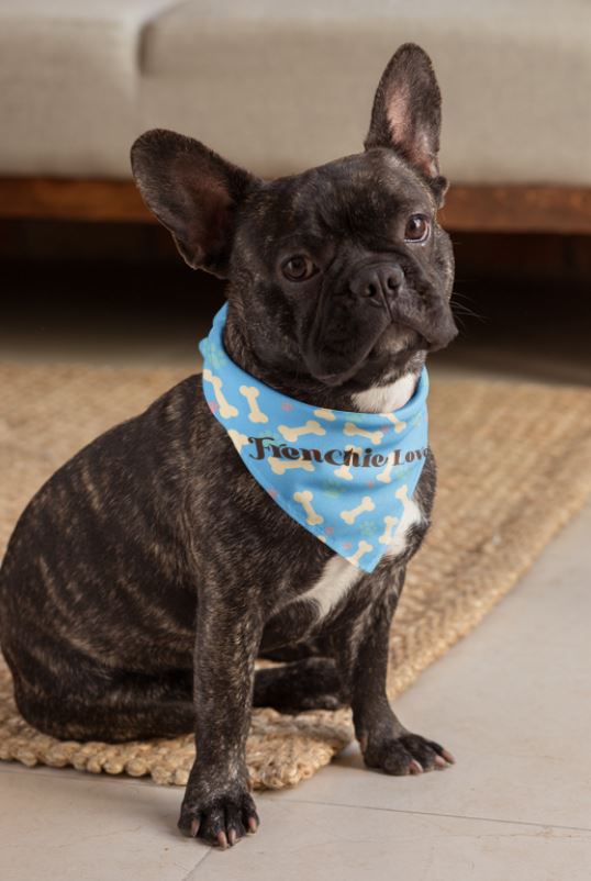 Frenchie Love Pet Bandana — "Pet Lover" Collar for French Bulldog Owners