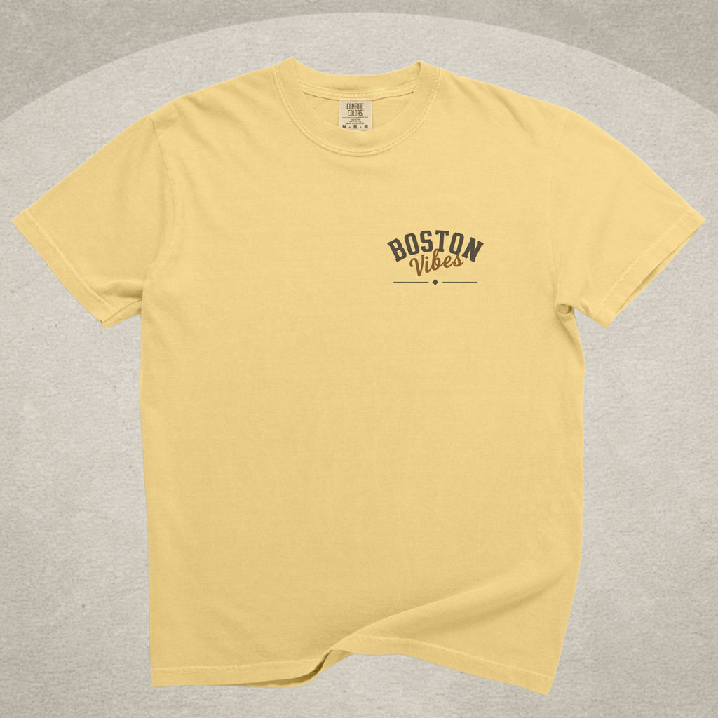 Boston Vibes Dog Tee