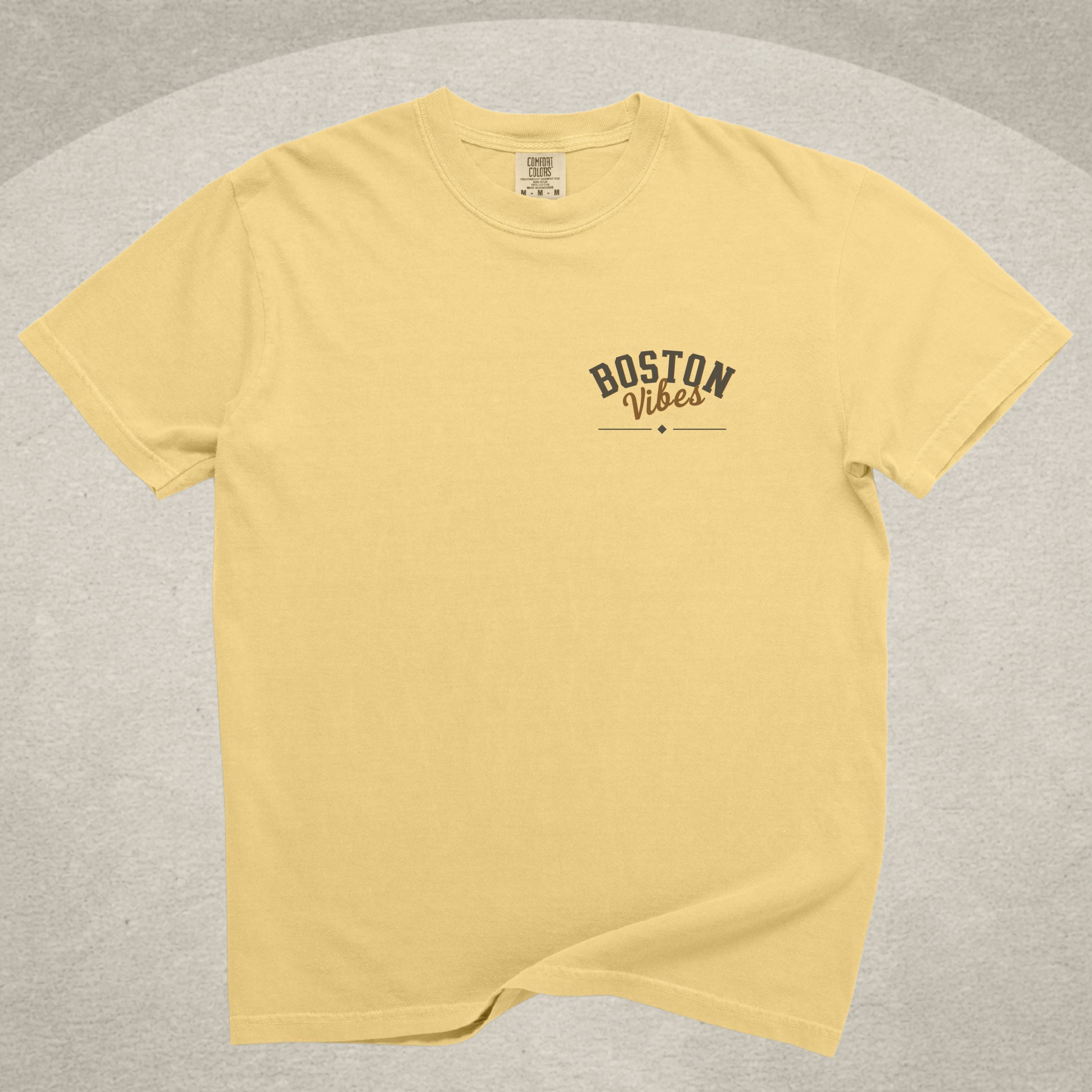 Boston Vibes Dog Tee