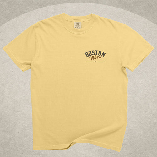 Boston Vibes Dog Tee