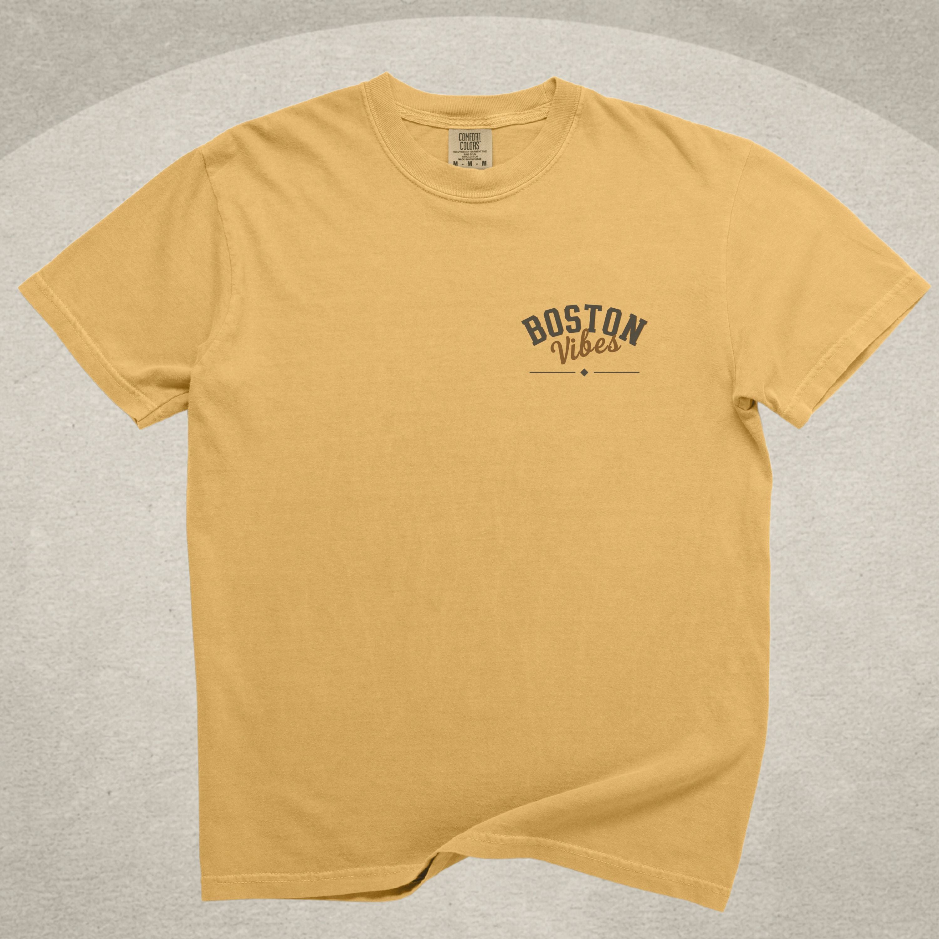 Boston Vibes Dog Tee