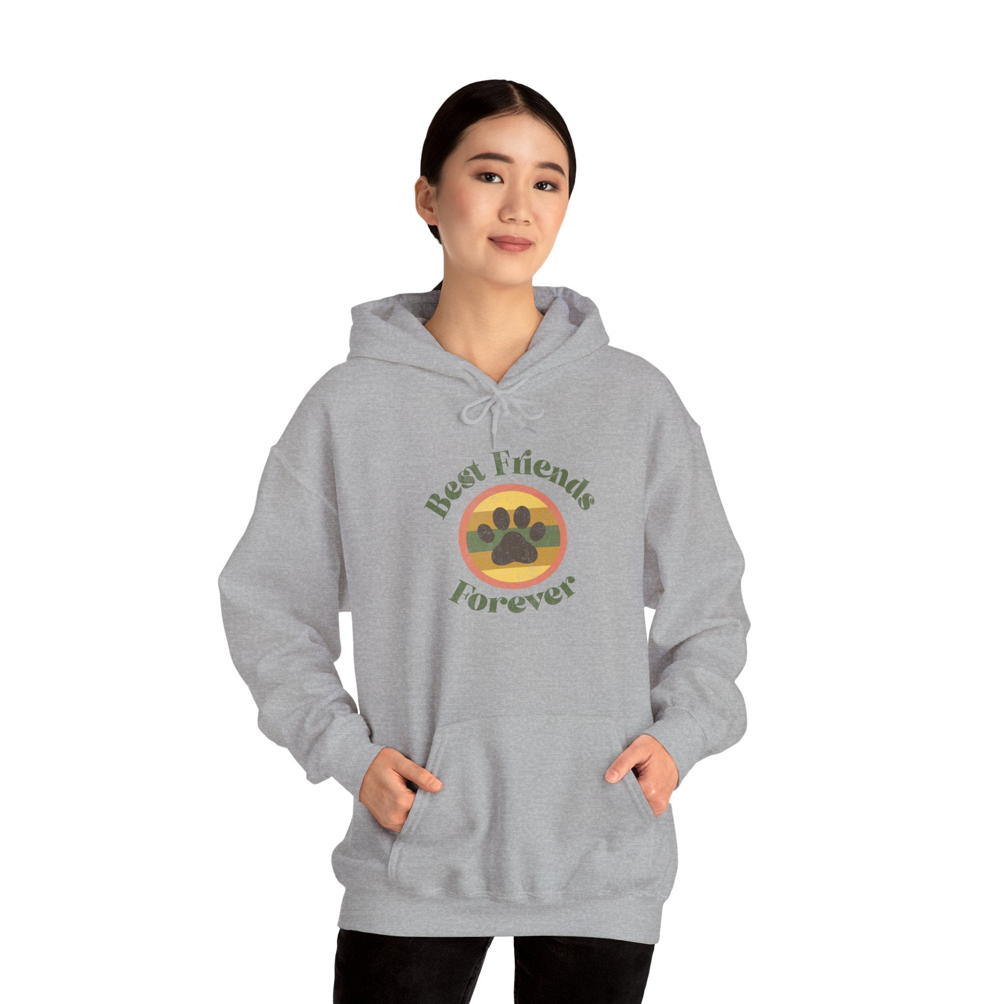 Retro Pet Lover Hoodie — Vintage-Inspired Dog & Cat Lover Sweatshirt