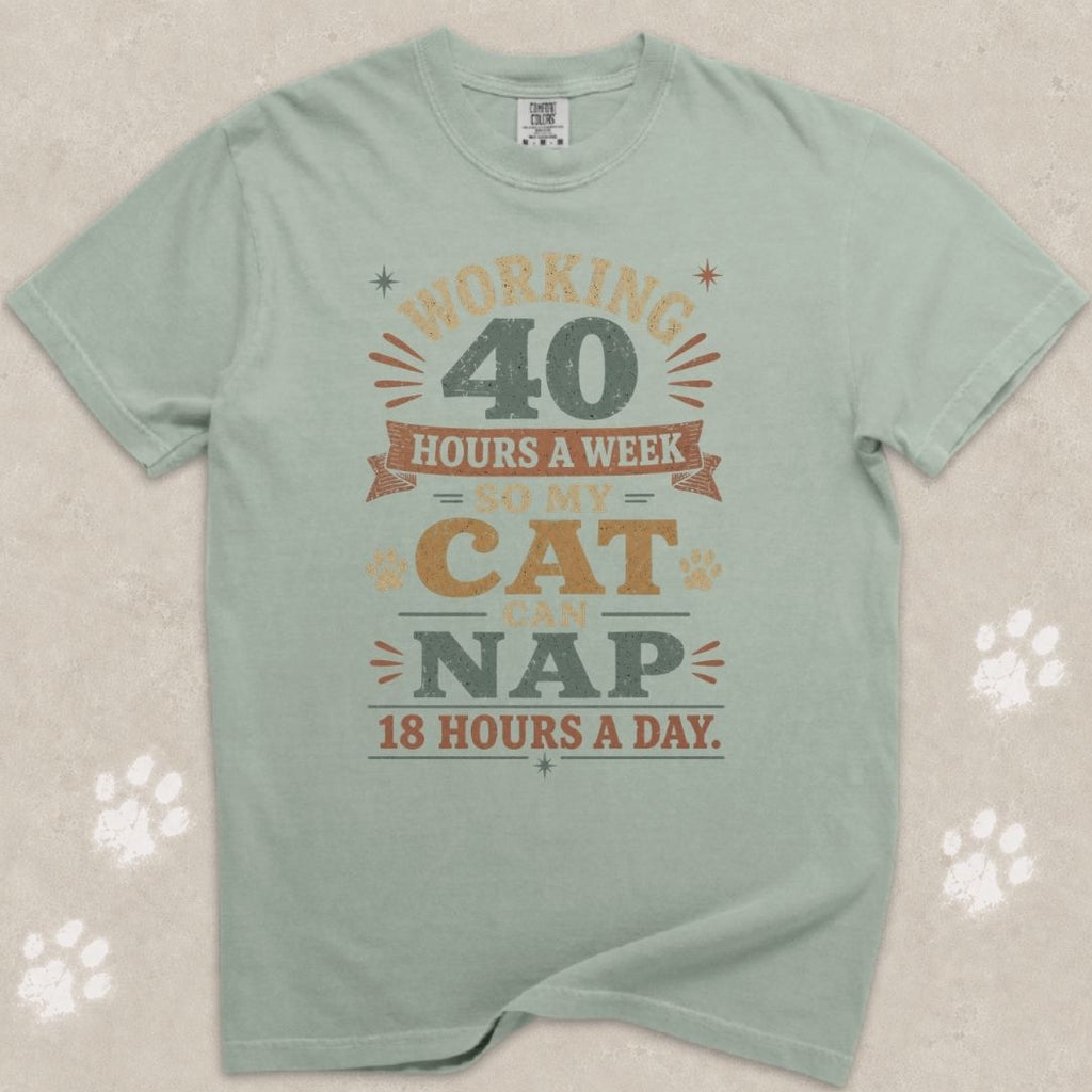 Working 40 Hrs For My Cat T-Shirt