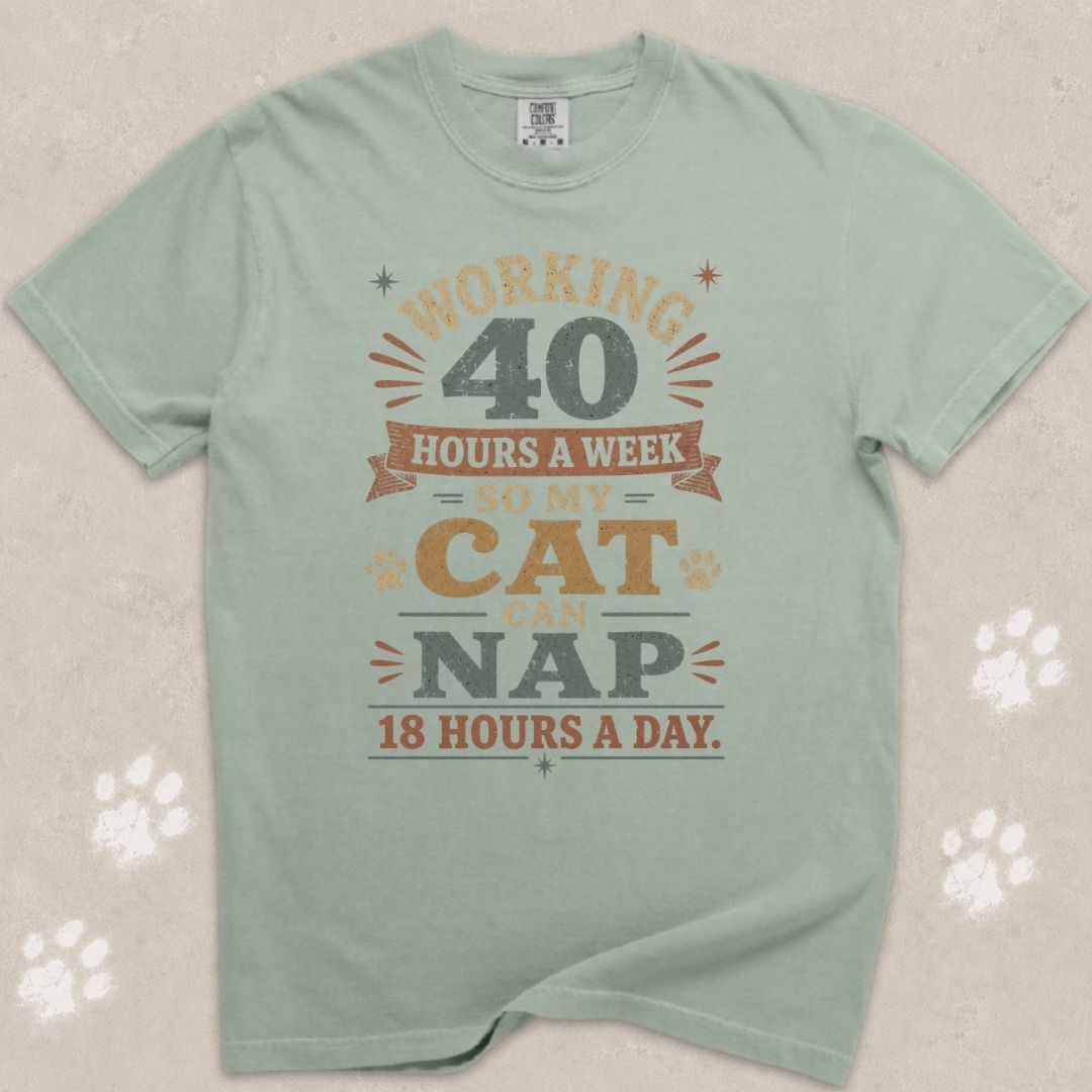 Working 40 Hrs For My Cat T-Shirt