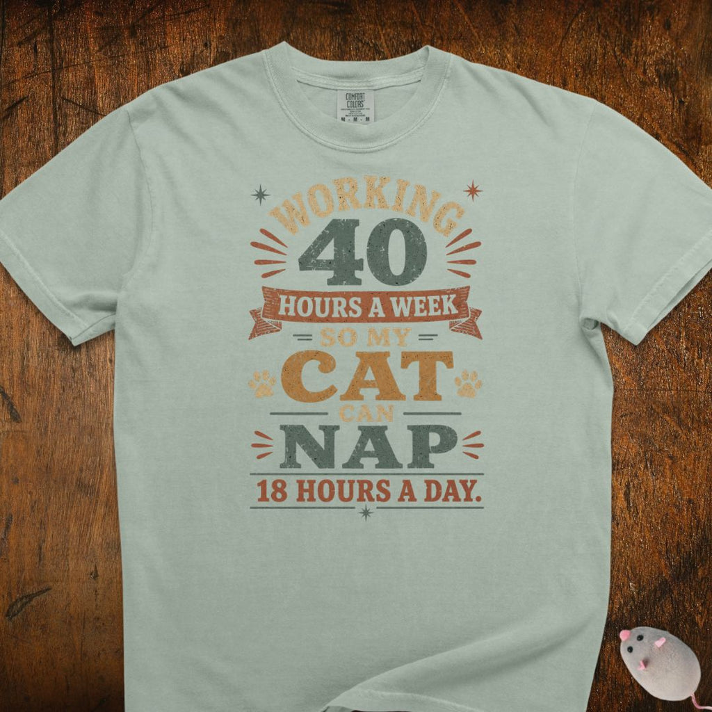 Working 40 Hrs For My Cat T-Shirt