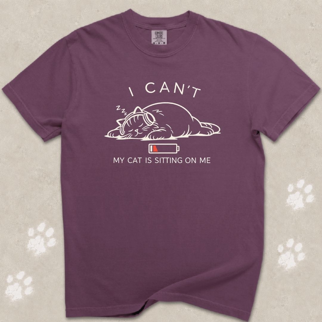 I Can't, My Cat Is Sitting On Me T-Shirt