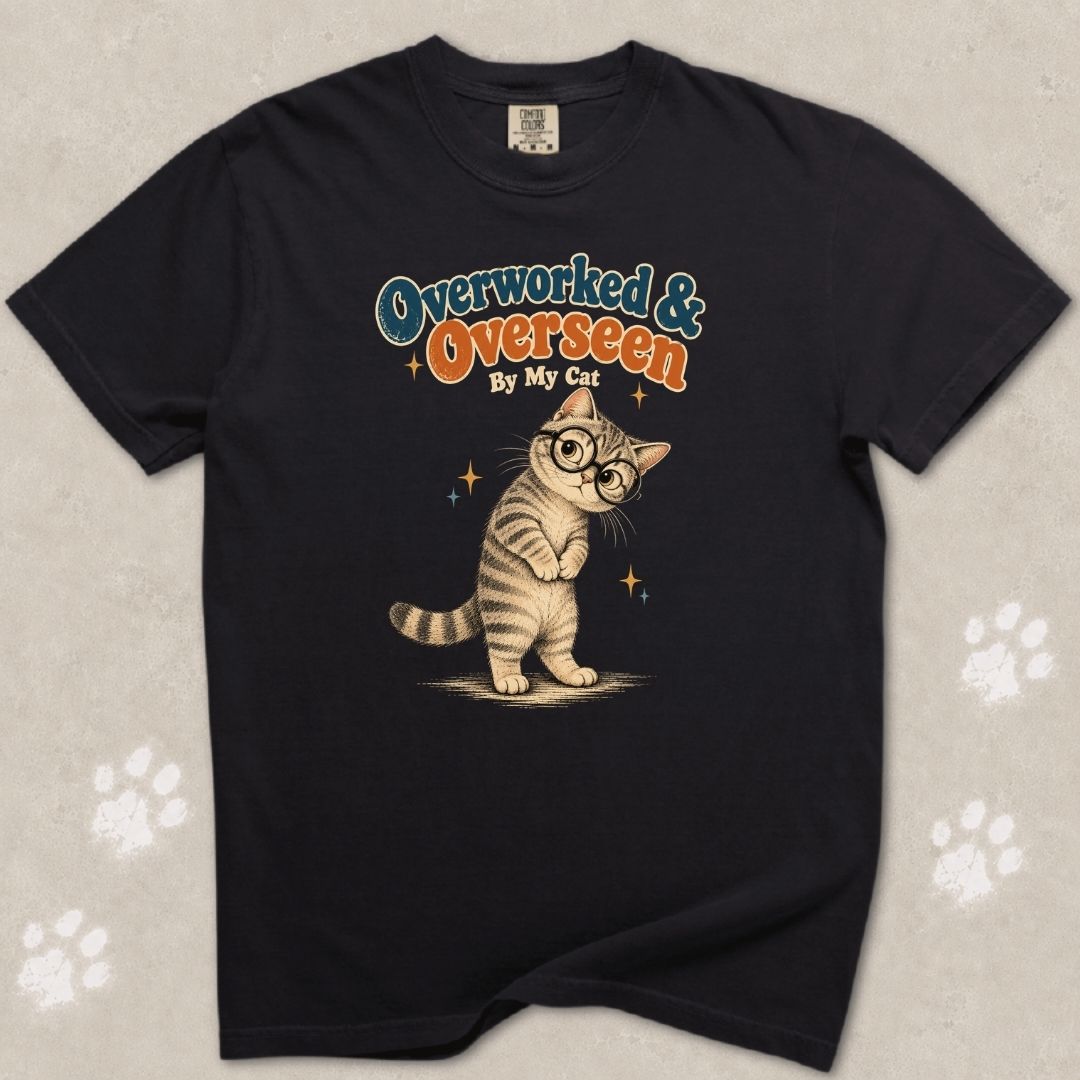 Overlooked And Overseen Cat T-Shirt