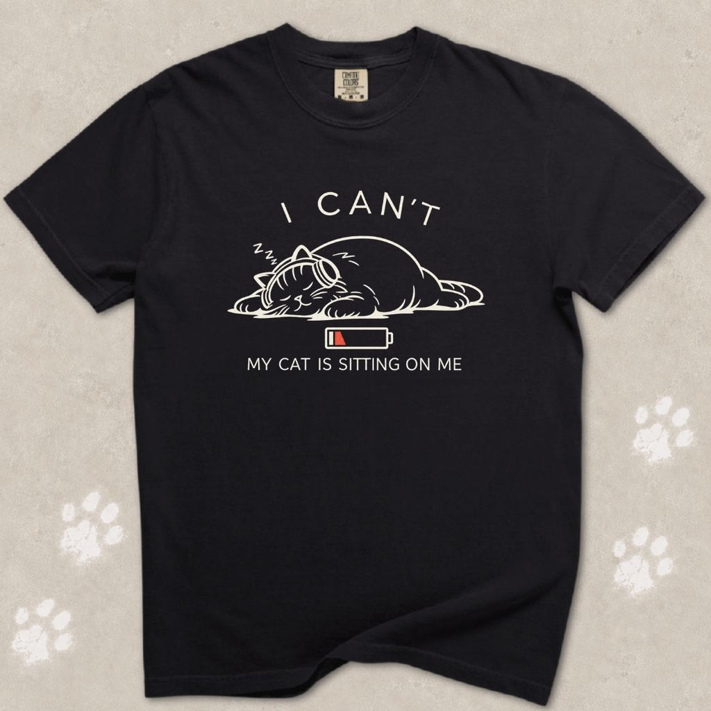 I Can't, My Cat Is Sitting On Me T-Shirt