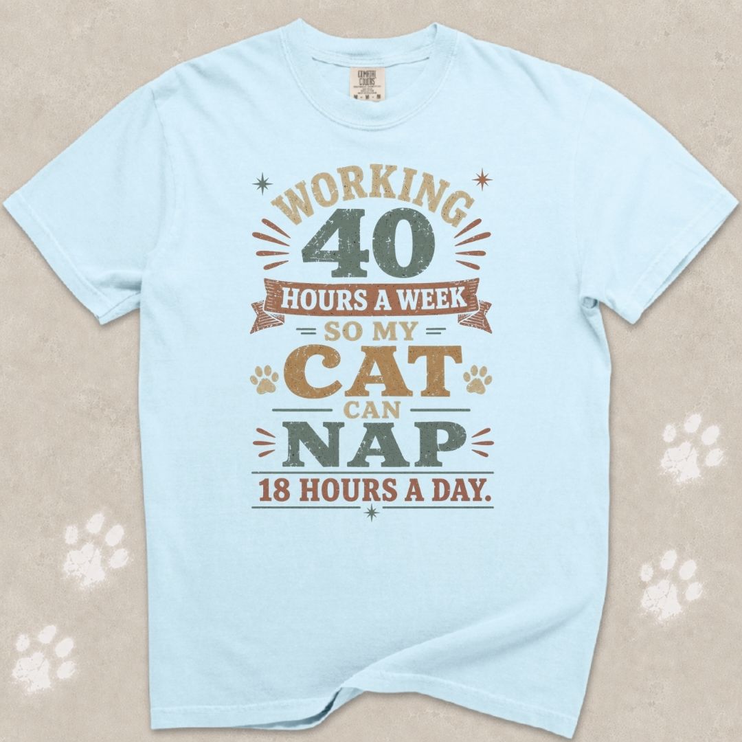 Working 40 Hrs For My Cat T-Shirt