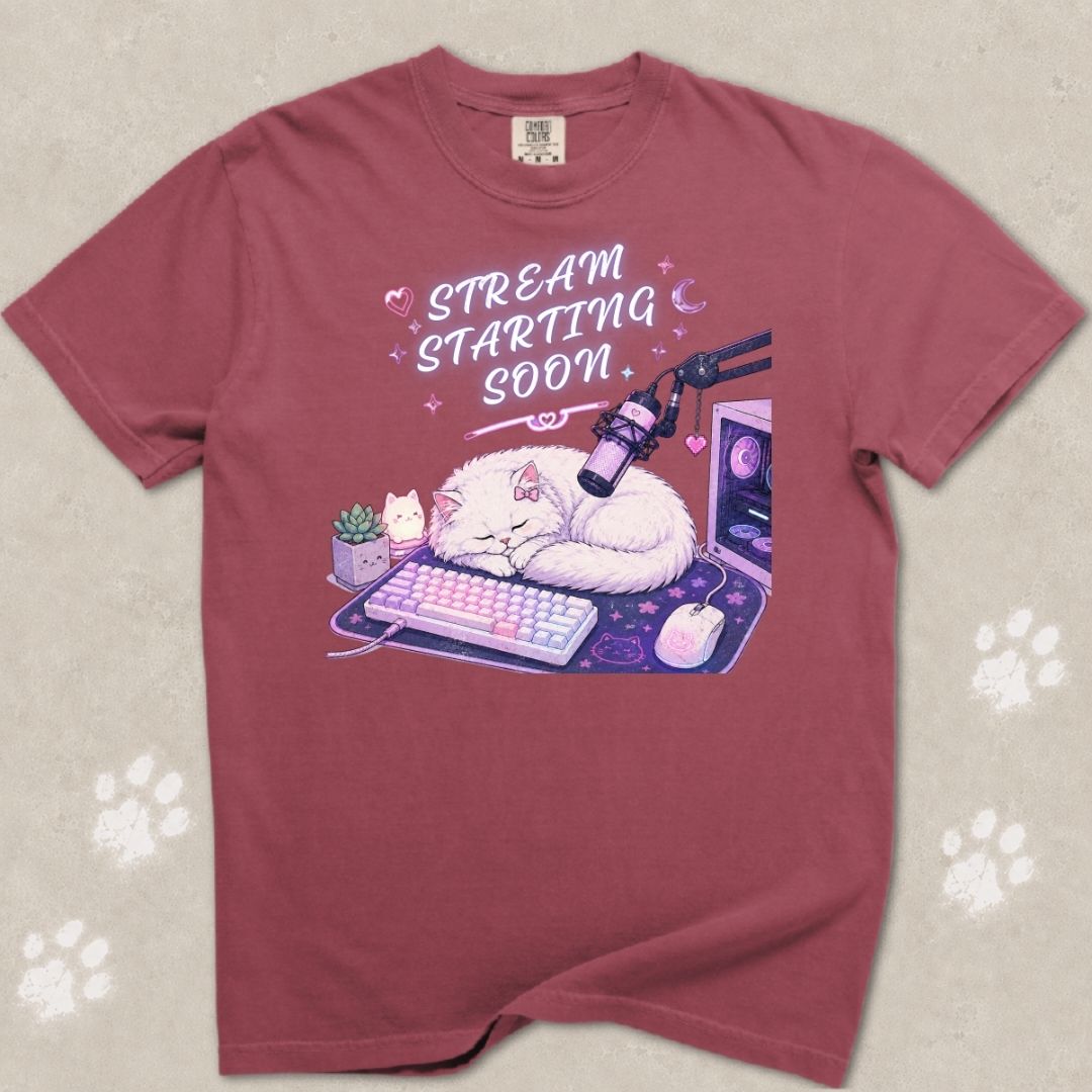 Stream Starting Soon Cat T-Shirt