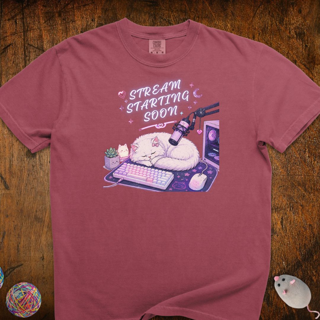 Stream Starting Soon Cat T-Shirt