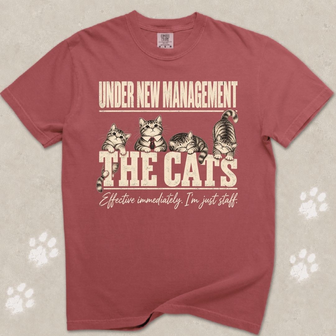 Under New Management Cat T-Shirt