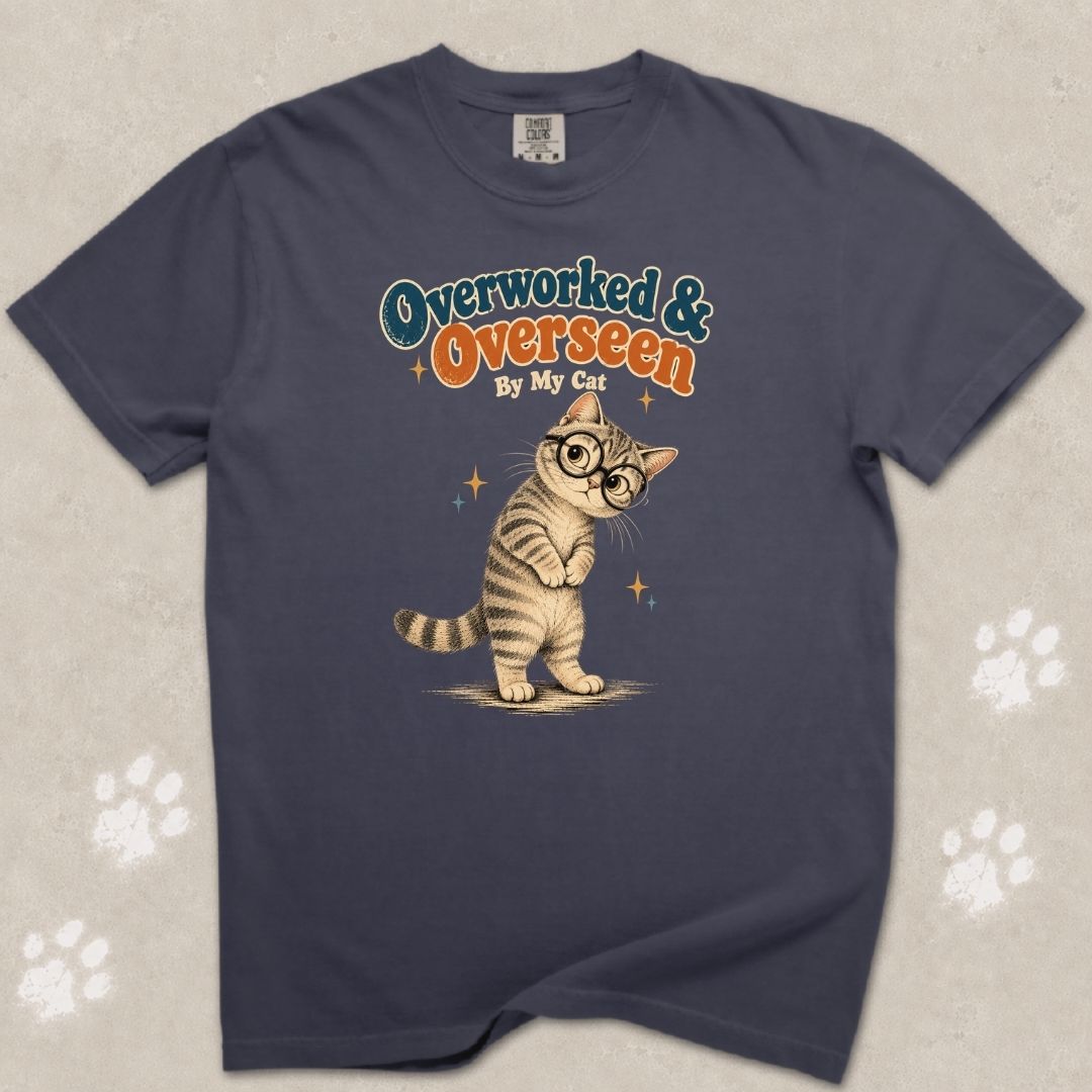 Overlooked And Overseen Cat T-Shirt