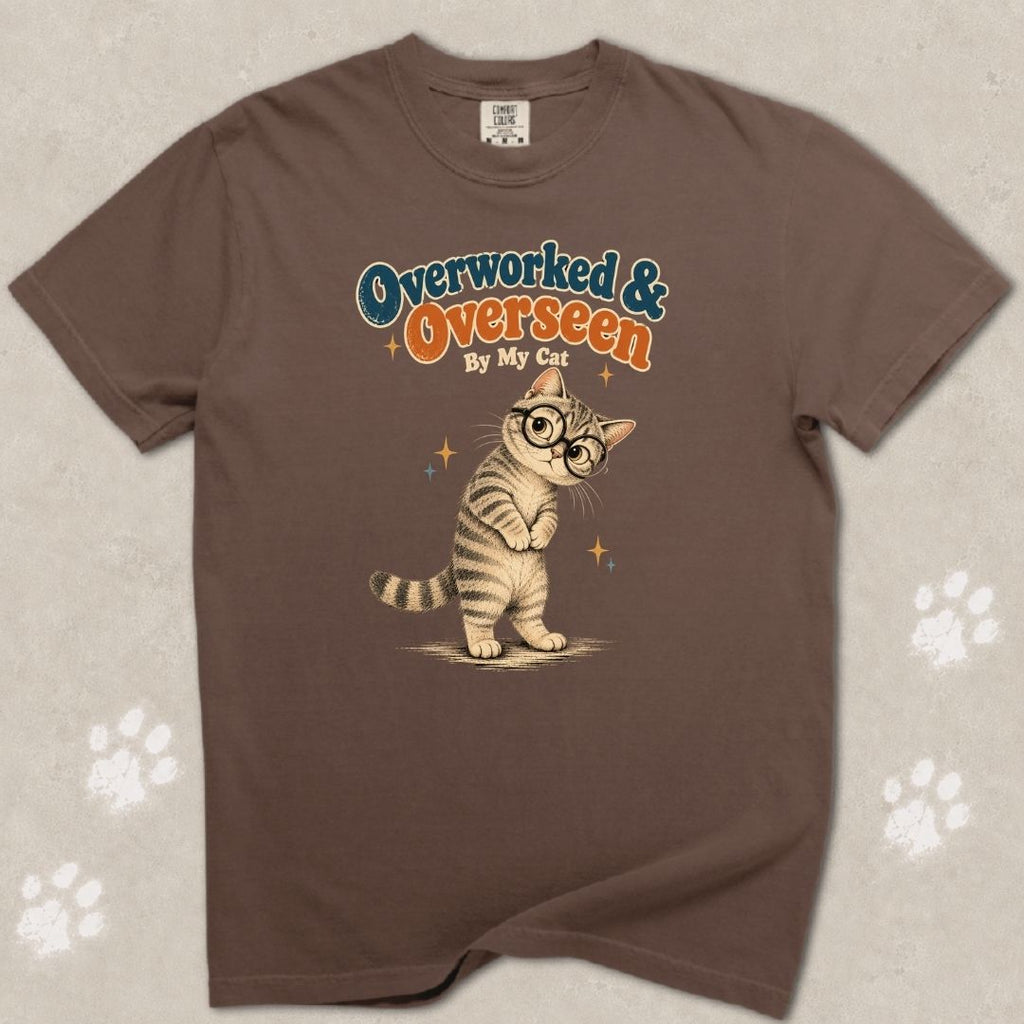 Overlooked And Overseen Cat T-Shirt