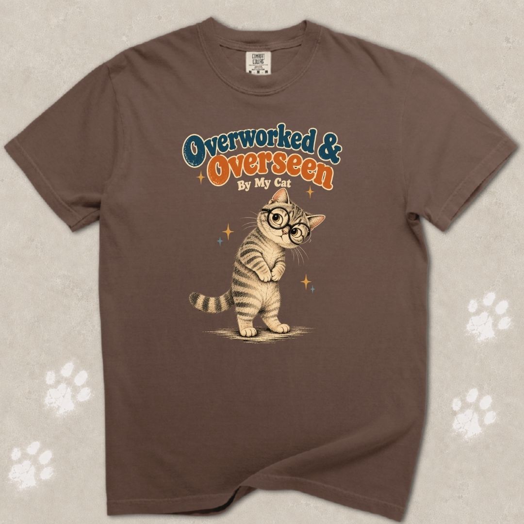 Overlooked And Overseen Cat T-Shirt
