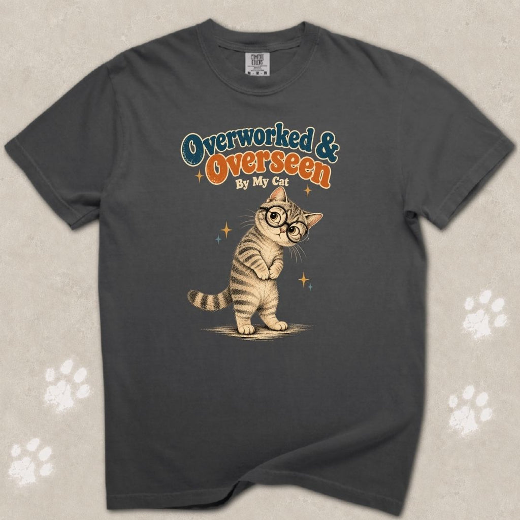 Overlooked And Overseen Cat T-Shirt