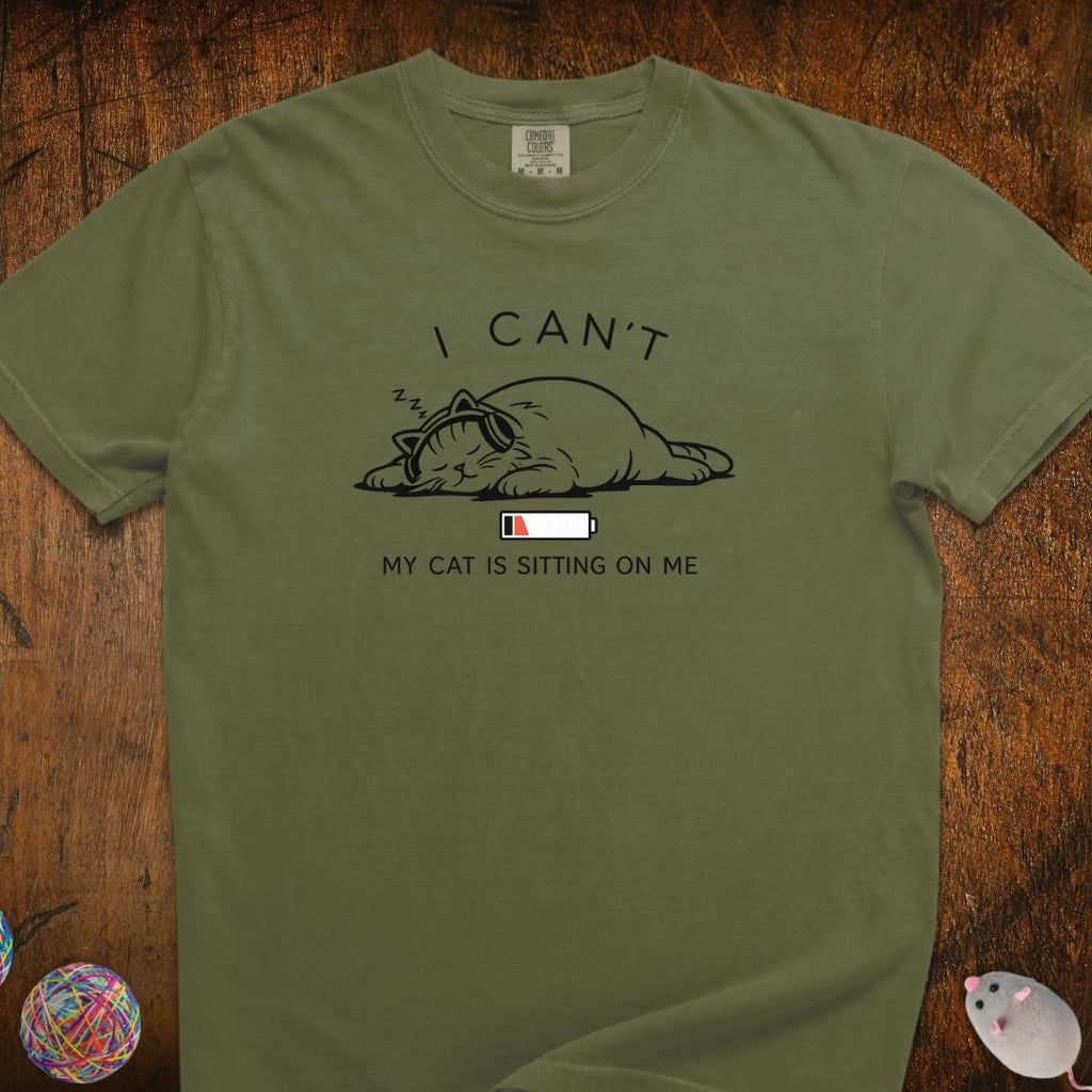 I Can't, My Cat Is Sitting On Me T-Shirt