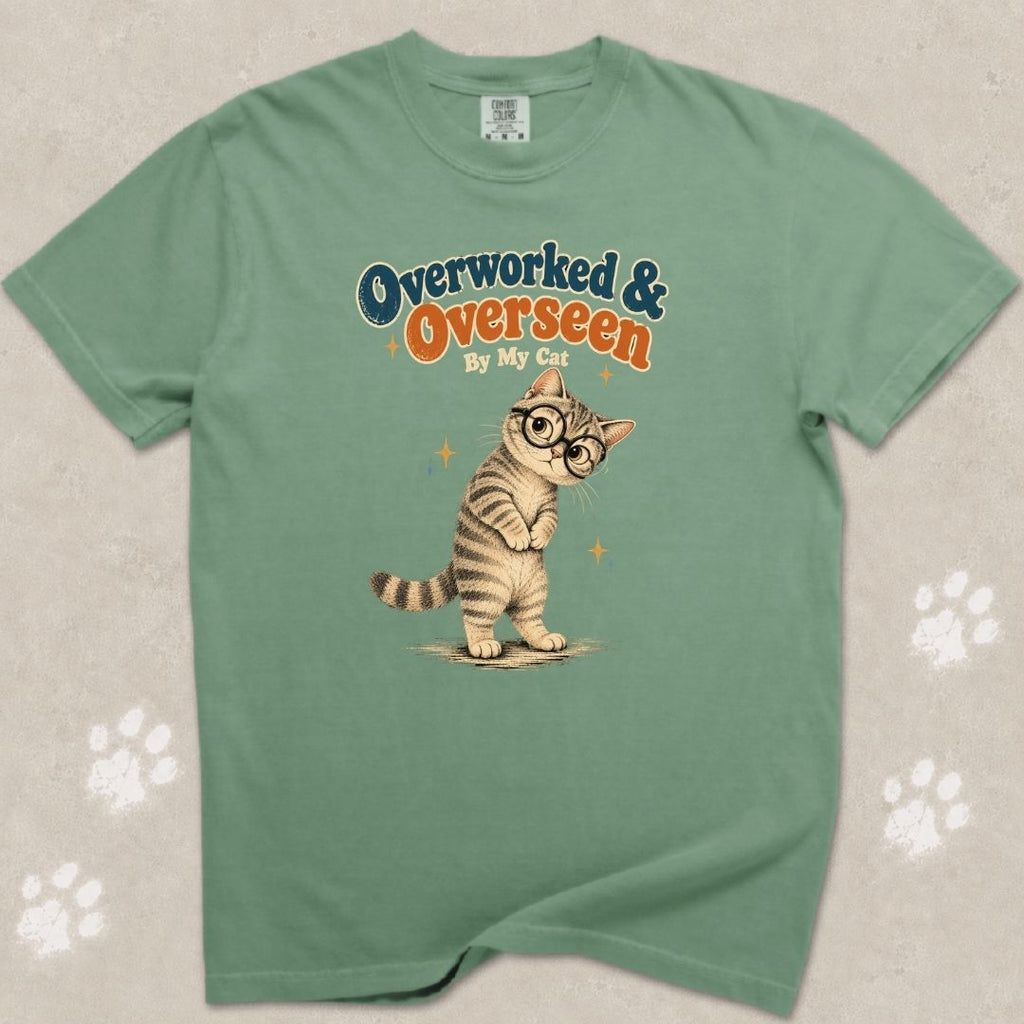 Overlooked And Overseen Cat T-Shirt