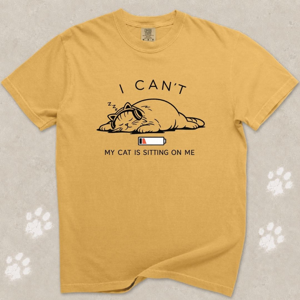 I Can't, My Cat Is Sitting On Me T-Shirt