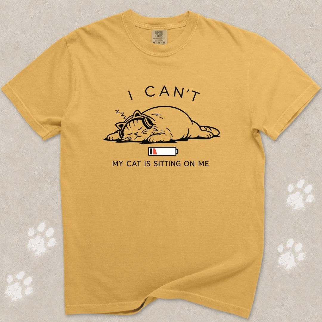I Can't, My Cat Is Sitting On Me T-Shirt