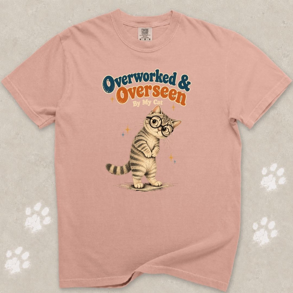 Overlooked And Overseen Cat T-Shirt