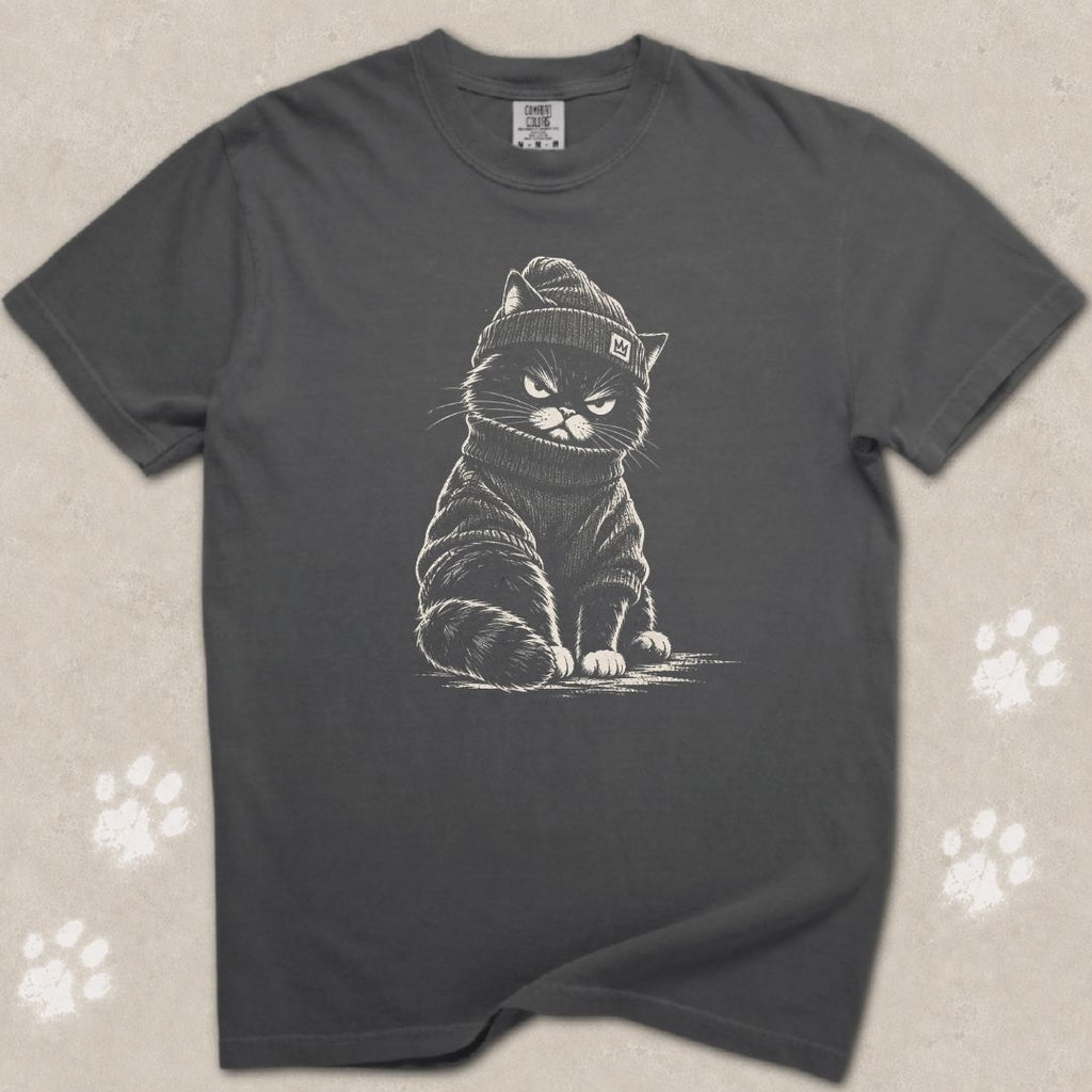 I Want Problems Cat T-Shirt