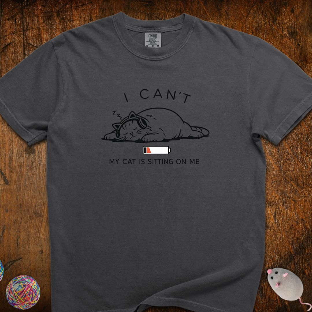 I Can't, My Cat Is Sitting On Me T-Shirt