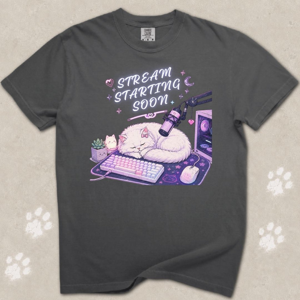 Stream Starting Soon Cat T-Shirt