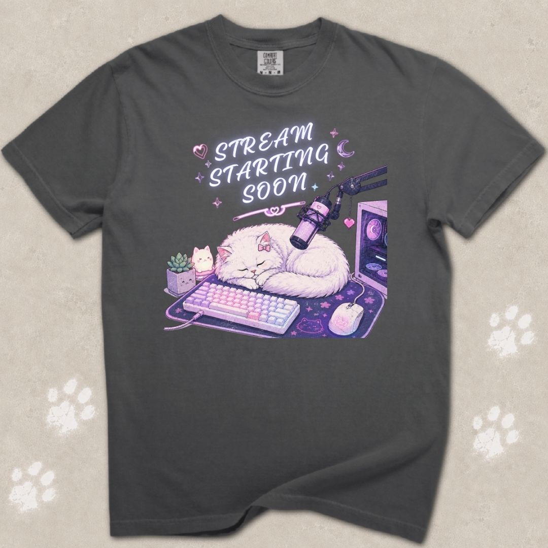 Stream Starting Soon Cat T-Shirt