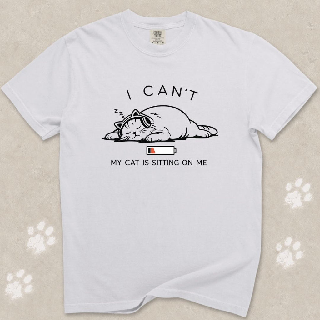 I Can't, My Cat Is Sitting On Me T-Shirt